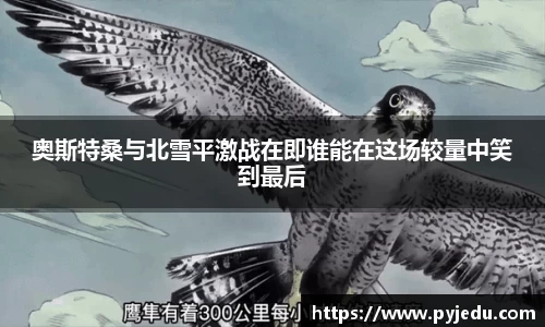 金年会信誉至上