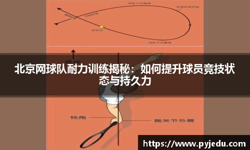 金年会